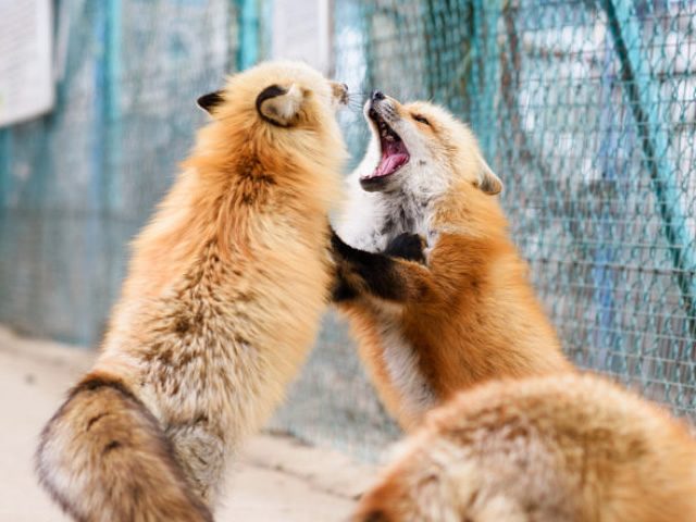 近隣観光の拠点 イメージ